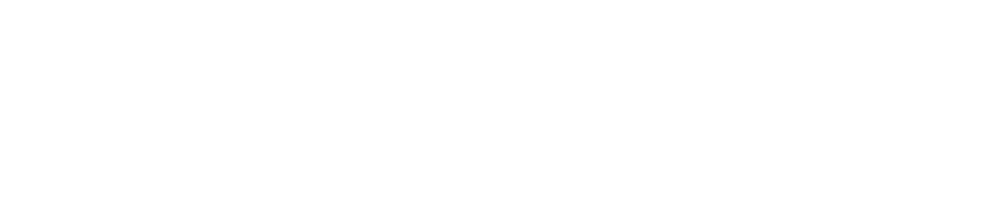 Bizzcom logo