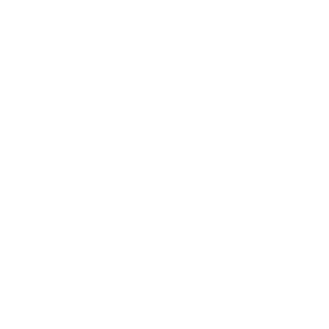 DESY logo