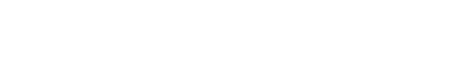 STEPHANIK logo