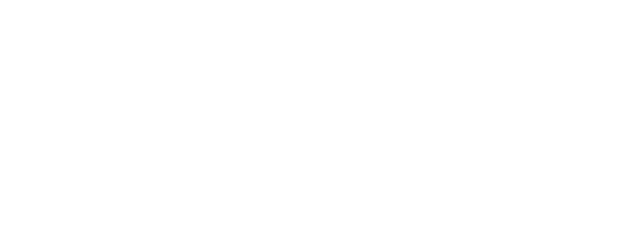 Slovak Technical University in Bratislava logo